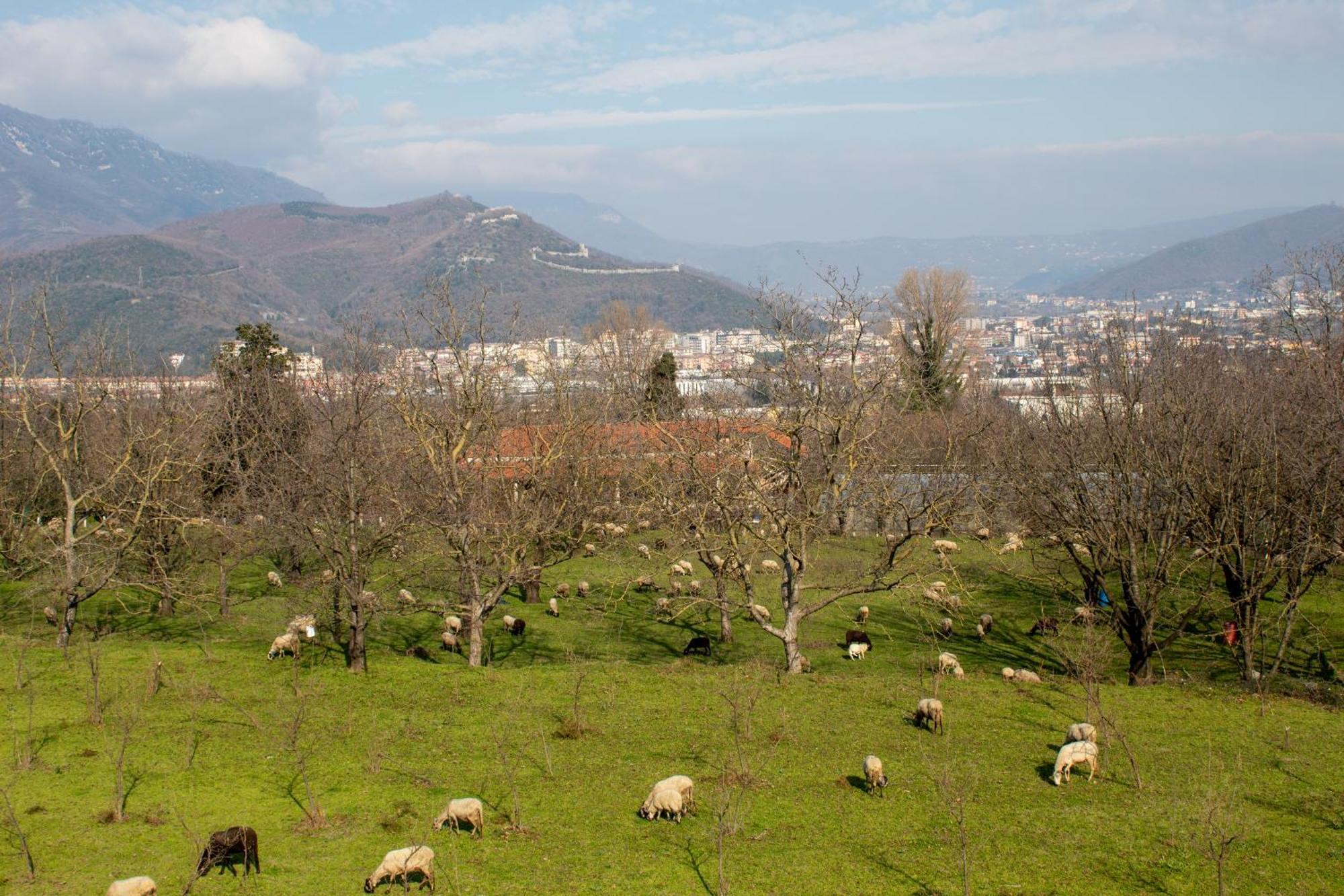 Caledonia B&B Mercato San Severino Exterior foto