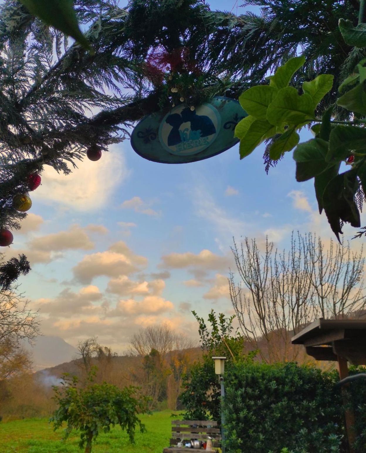 Caledonia B&B Mercato San Severino Exterior foto